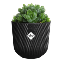jazz rond mini 7cm living black